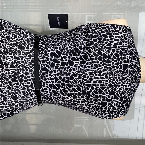 Fit & Flare Belted Dress - Picture 4 of 4